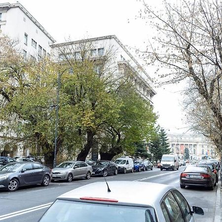 Apartmán La Dame Bleue Bukurešť Exteriér fotografie